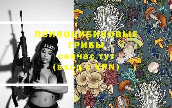эйфоретик Абаза