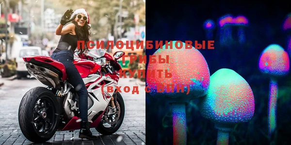 эйфоретик Абаза