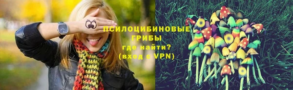 стаф Абдулино